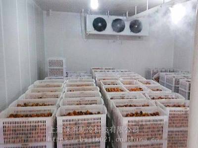 精准温控，鲜活 delivered 果蔬保鲜与水产海鲜冷库的全流程建设指南