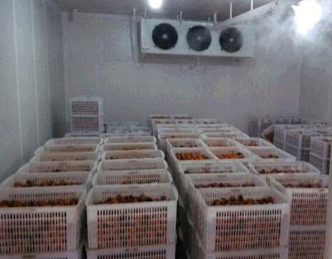 郑州保鲜与水产冷库出租租赁指南 品质存储让商机恒温