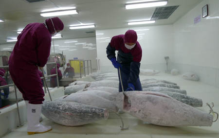 水产品冻库与冷冻冷藏 保障品质与安全的关键技术